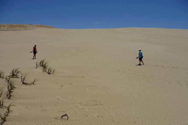 Nieuw-Zeeland 2011 - 0374